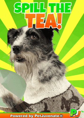 a poster of a dog with the words spill the tea