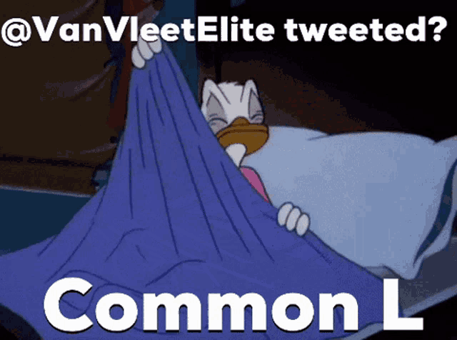 a cartoon of donald duck holding a blue blanket with the caption " vanvleetelite tweeted "