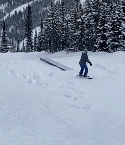 Fail Snowboard GIF - Fail Snowboard GIFs