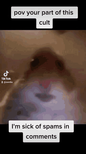 a video of a hamster with the caption " pov your part of this cult "