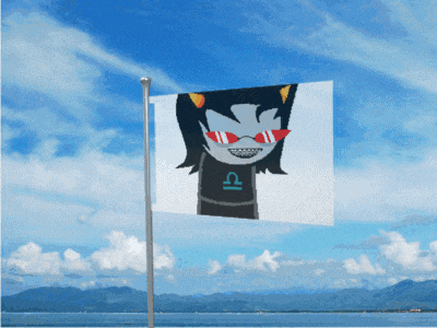 a flag with a picture of a girl wearing sunglasses and a zodiac sign on it