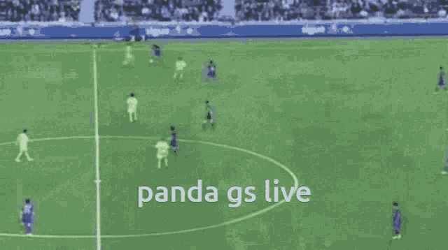 Panda Gs Live GIF - Panda Gs Live Panda Gs GIFs
