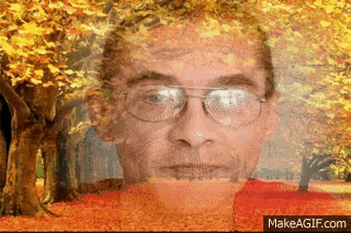 a man wearing glasses is surrounded by trees with leaves falling from them