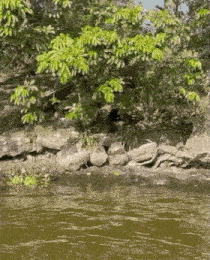 a river surrounded by rocks and trees with a tree in the background