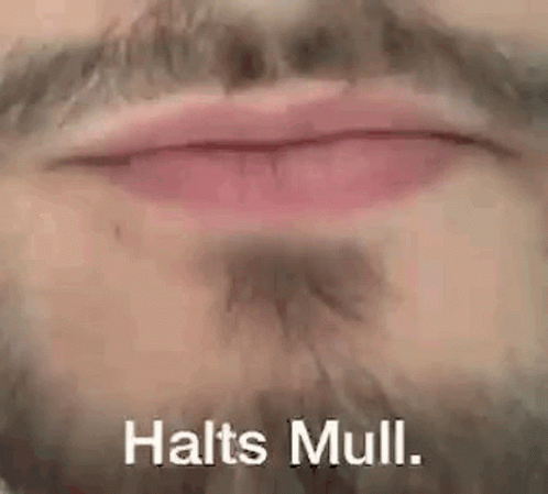 Halts Mull GIF - Halts Mull Haltsmull GIFs