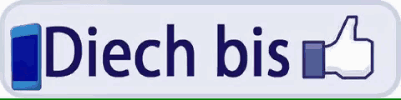 a button that says " diech bis " with a thumbs up