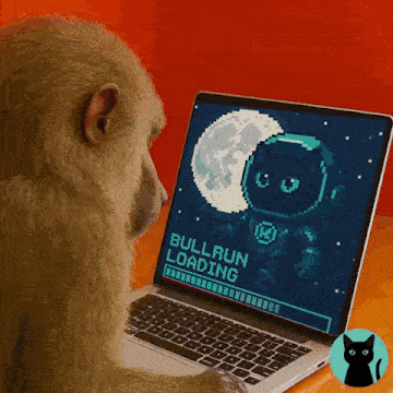 a monkey sits in front of a laptop that says bullrun loading on the screen