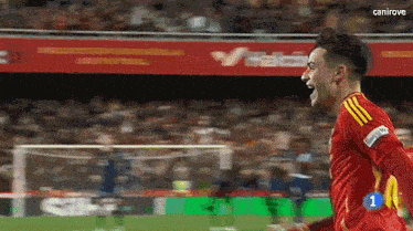 a soccer player in a red jersey is celebrating a goal on a field .