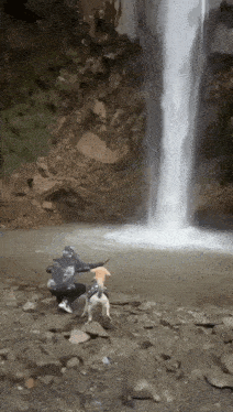 a man and two dogs are standing near a waterfall