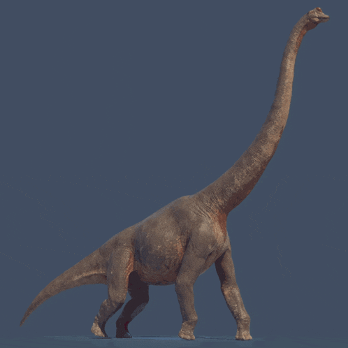 a 3d model of a dinosaur with a long neck against a blue background