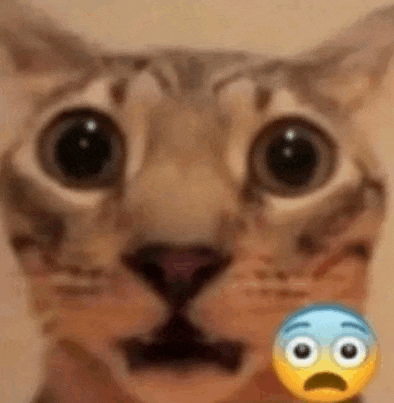 a close up of a cat 's face with a surprised emoji on its face .