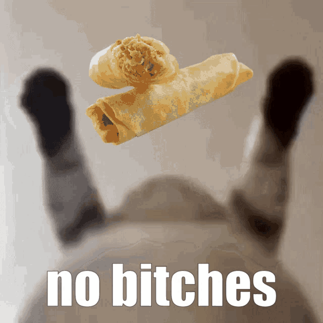 a picture of a cat with a spring roll and the words " no bitches " below it