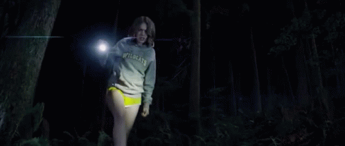 The Package Sarah GIF - The Package Sarah Flashlight GIFs