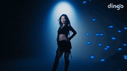 a woman in a black dress stands in front of a blue background with the word dingo on it