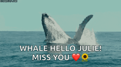 a picture of a humpback whale in the ocean with the words " whale hello julie miss you "