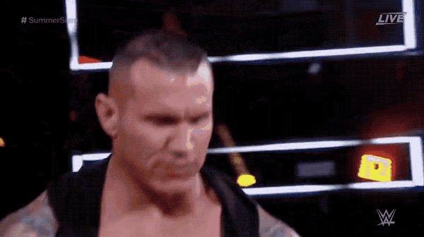 Randy Orton GIF - Randy Orton GIFs