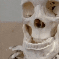 a close up of a skull with a hole in it