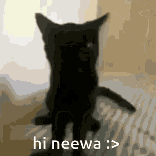Neewa GIF - Neewa GIFs