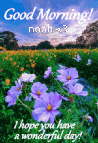 Noah Good Morning Noah GIF - Noah Good Morning Noah GIFs