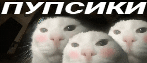 three white cats are looking at the camera with the words " пупсики " in white letters