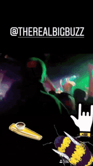 a picture of a crowd at a concert with the words " @therealbigbuzz " at the top