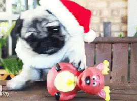 Holiday Pug GIF - Pug Christmas Dogs GIFs