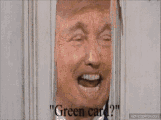 Green Card Ice GIF - Green Card Ice Trump GIFs
