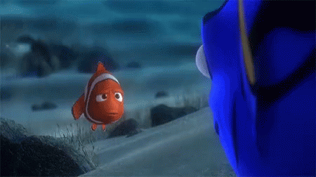 Finding Nemo Wrong GIF - Finding Nemo Wrong GIFs