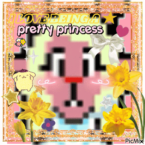 a picture of a pixelated face with the words love being a pretty princess written on it
