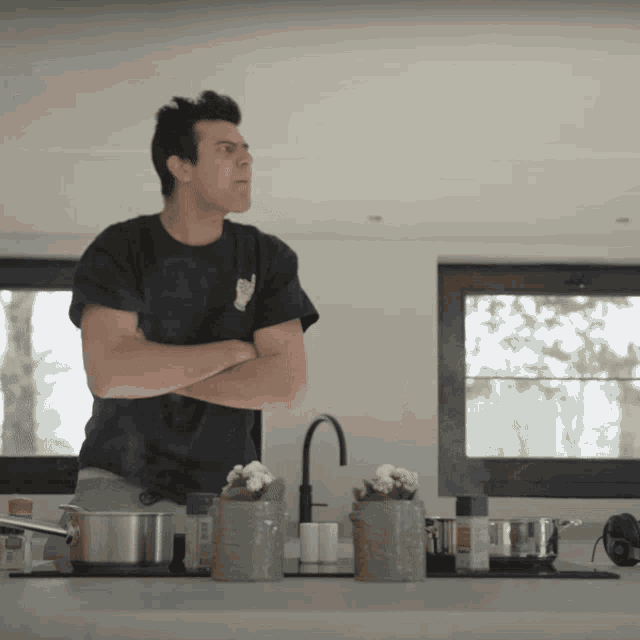 a man in a black shirt with a cat on it stands in a kitchen with his arms crossed