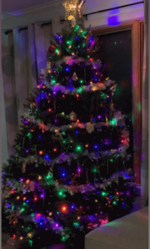 Daughter S Christmas Tree GIF - Daughter S Christmas Tree GIFs