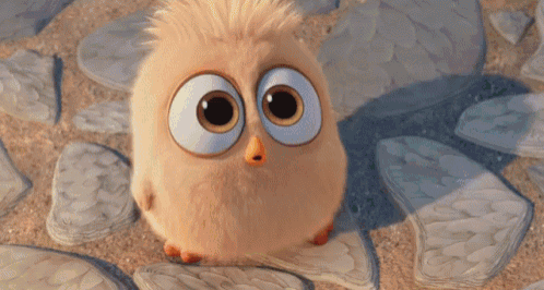 a cartoon bird with big eyes and a yellow beak is standing on a rocky surface .