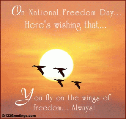 Freedom Freedom Day GIF