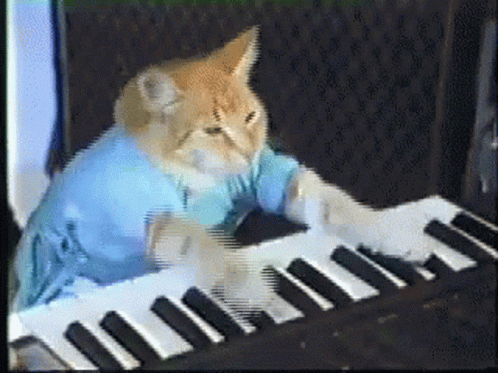 Cat Playing Piano Funny GIF - Cat Playing Piano Funny Meme GIFs