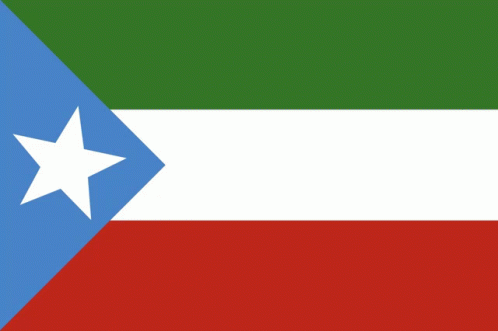 Dds Somali State GIF - Dds Somali State Dawlad Deeganka Somalida GIFs