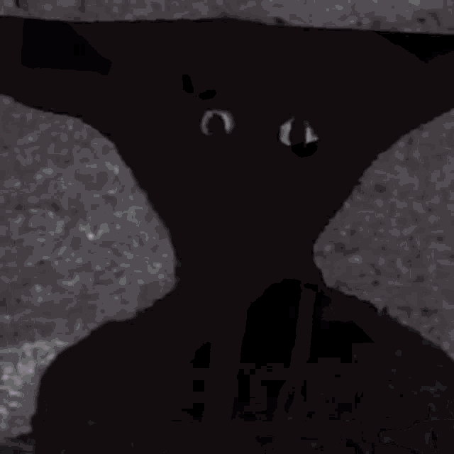 a blurred image of a person standing in a room with a pink background