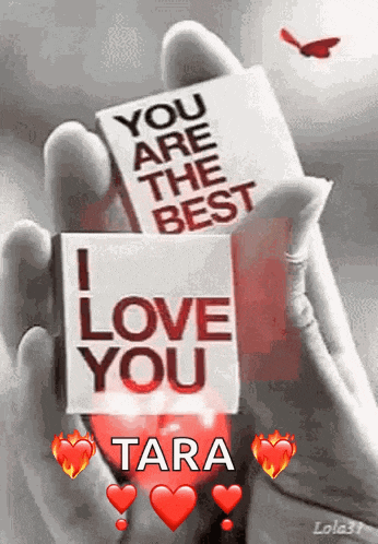 a person is holding two boxes that say `` you are the best '' and `` i love you '' .