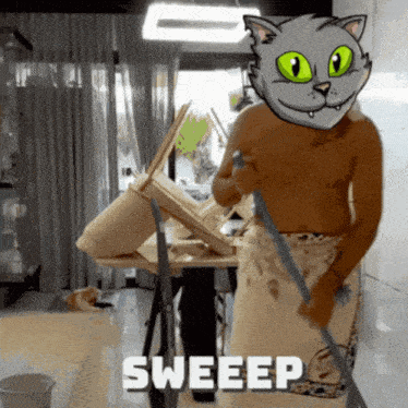 a cartoon cat with green eyes is sweeping a table