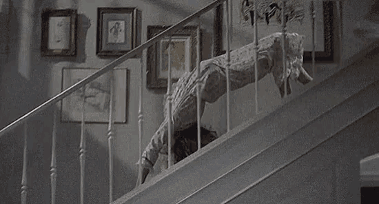 a person doing a handstand on the stairs