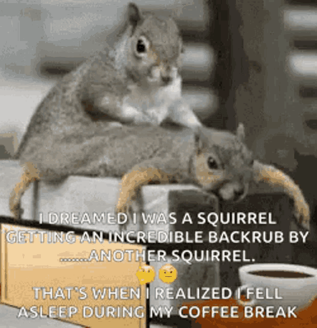 a couple of squirrels are sitting on top of a box next to a cup of coffee .