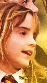 Hermione Idiot GIF - Hermione Idiot GIFs