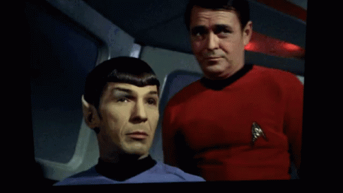 Spock Eyebrows GIF - Spock Eyebrows Startrek GIFs