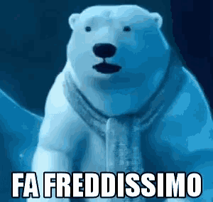 a polar bear wearing a scarf and the words fa freddissimo written on it .