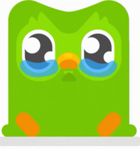 Duolingo Bird Is The Word GIF - Duolingo Bird Is The Word Animated GIFs
