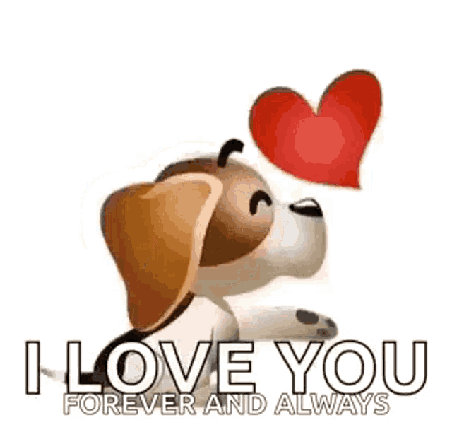 a dog is holding a red heart in its mouth and saying `` i love you forever and always '' .