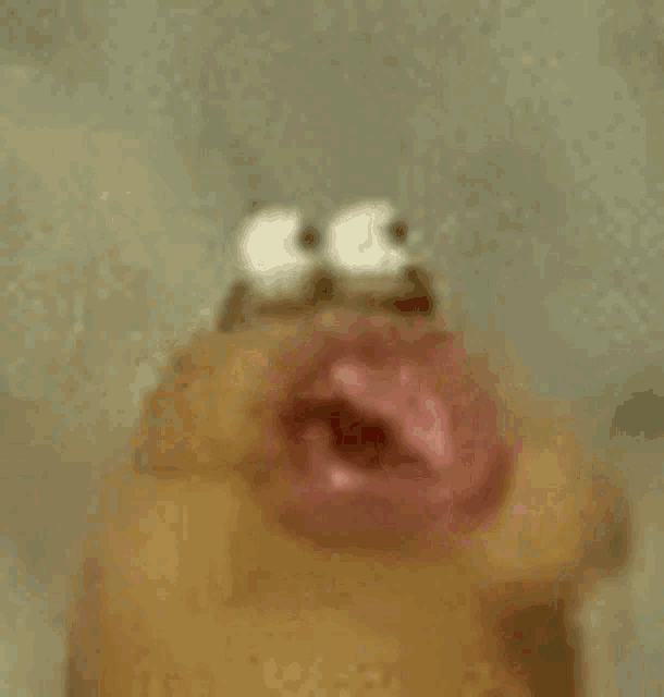 a close up of a cartoon character with a mouth open and eyes .