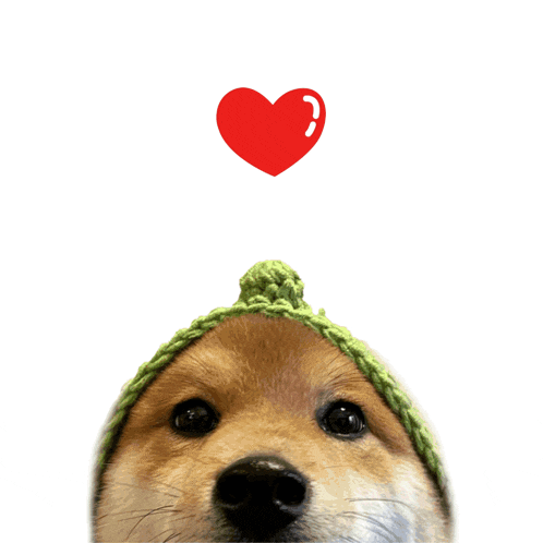 a dog wearing a green hat with a red heart above its head