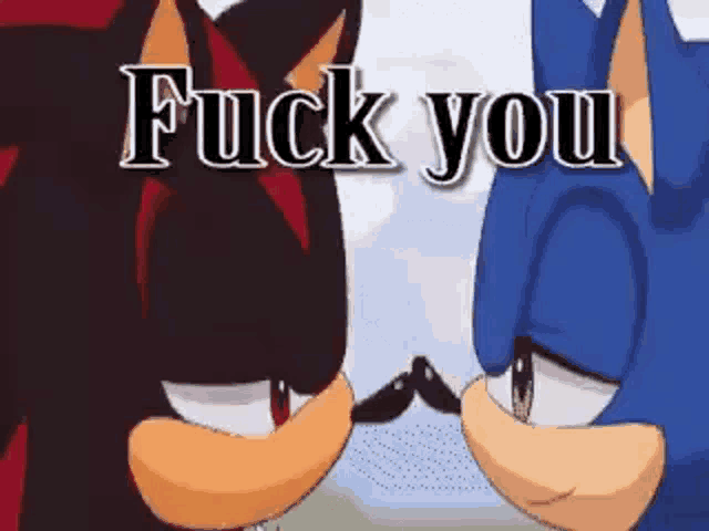 shadow the hedgehog and sonic the hedgehog are looking at each other with the words `` fuck you '' written above them