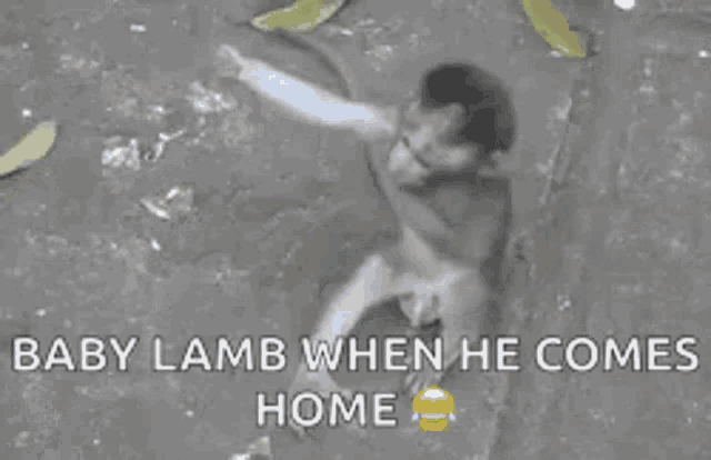 a black and white photo of a baby lamb when he comes home