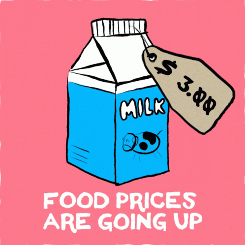 Milk Milk Carton GIF - Milk Milk Carton Food Prices GIFs